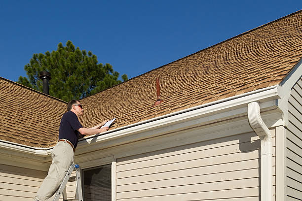 Best Roof Moss and Algae Removal  in Gibson, AR